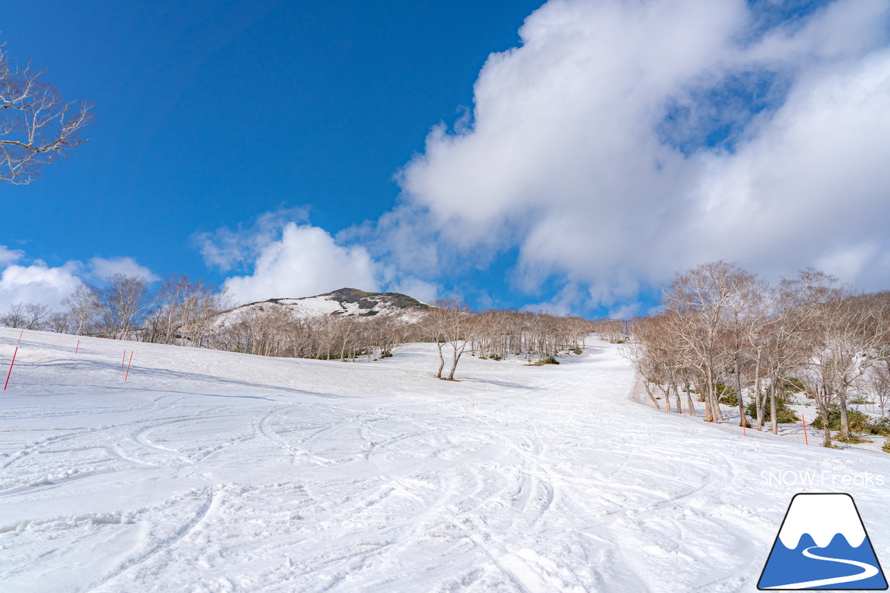 ニセコアンヌプリ国際スキー場｜さすがニセコ！山頂から山麓まで全長約4,000ｍのロング滑走可能です(^^)/